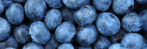 blueberries-300x100