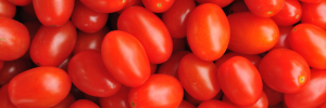 Grape Tomatoes